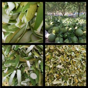 021eb8e2aa644f3a1675 2990