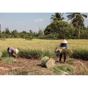 0621f160baa15fff06b0 4782