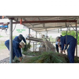 13dd0e6e9b807ede2791 6674 1