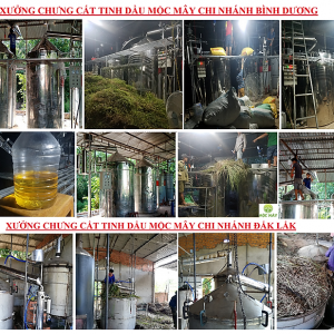 1a5b047c4027ed1648366fc8a7776ad0