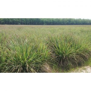 20170305112201 2603 1