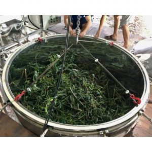 36cf344a4222bb7ce233 9864