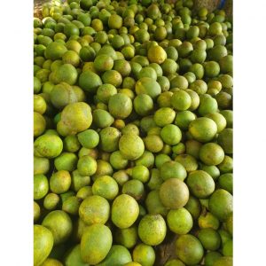 48624e729c5d65033c4c 4611