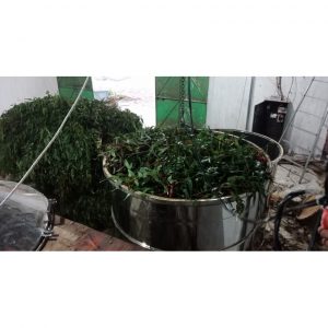 4acd44483220cb7e9231 9082