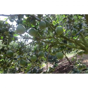 4d708d6d5f42a61cff53 68