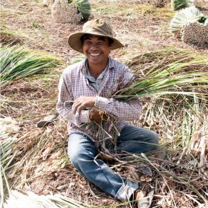 547986742782502664216714980617150738726912n 3698