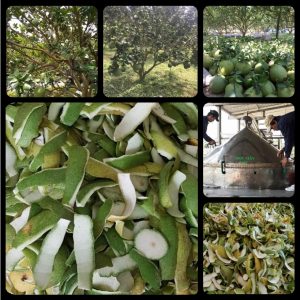 55e09234b5b250ec09a3 730