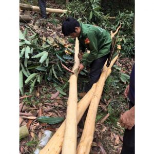 5ac52086ed0e0850511f 292