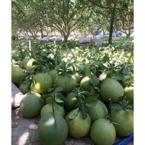 5af6dde90fc6f698afd7 1371