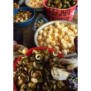 6316587711e2f4bcadf3 558