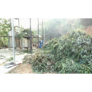 746497921030352647305576625734678707437568n 4900