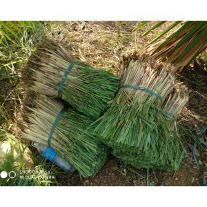 7e22855d5472ad2cf463 387