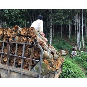 8563392ef4a611f848b7 6367