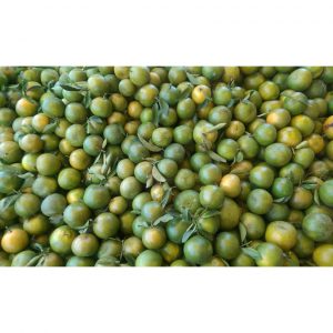 8c307b1e0076f928a067 9723