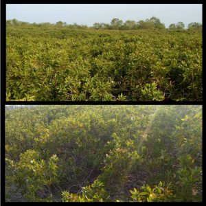 8c36a6ed2378c6269f69 4284 1