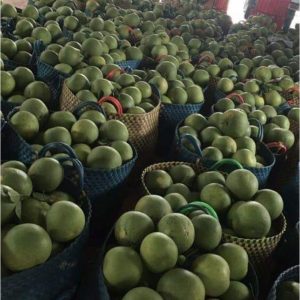 94599a4c4863b13de872 9012