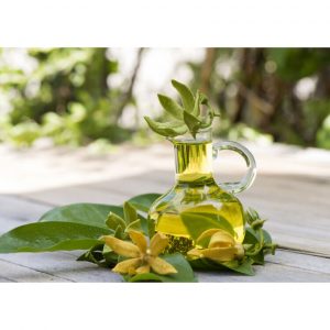 a290adb8bc73442d1d62 7352