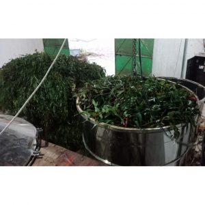 a59f76519e0a7854211b 7362