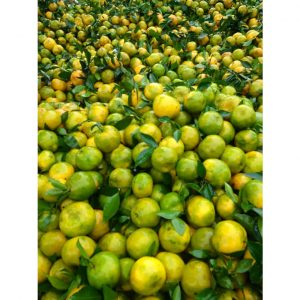 a68ea1a1dac923977ad8 6663