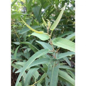 adc70486bf125a4c0303 2272