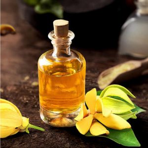 b4c7a1efb024487a1135 7221