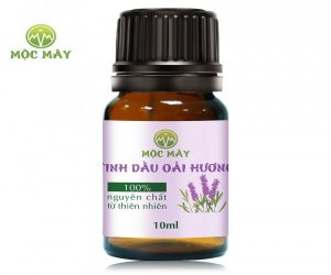 ban tinh dau hoa oai huong gia tot 31