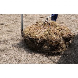 be957970f3b316ed4fa2 48 1