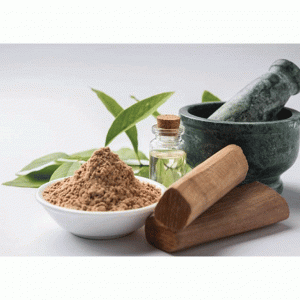 botdanhuongdauduahoahong 1168