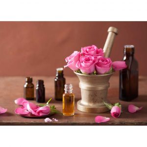 d4253f6260a0727d4907c7fec5389620 9547