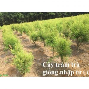 d9ddb0cf5234b76aee25 2794