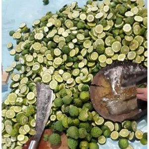 dd051aa45032aa6cf323 9019