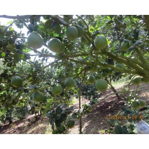 e207fcb969578c09d546 7331