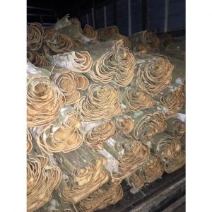 e595d5d81850fd0ea441 9044