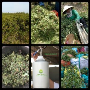 edb1c52c45b9a0e7f9a8 4011 1