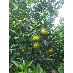 f8e46402f5ed9c7defada8a4a907e79a 7979