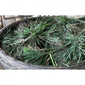 f95e85a80f6bea35b37a 2919