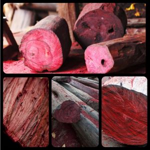 tinh dau ho hong 7283