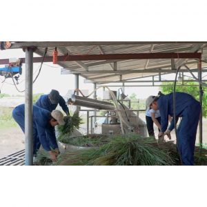 tinh dau thien nhien 8769