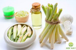 Tac dung cua tinh dau sa nguyen chat