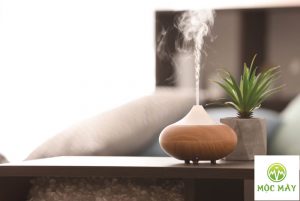 May xong tinh dau duoi muoi